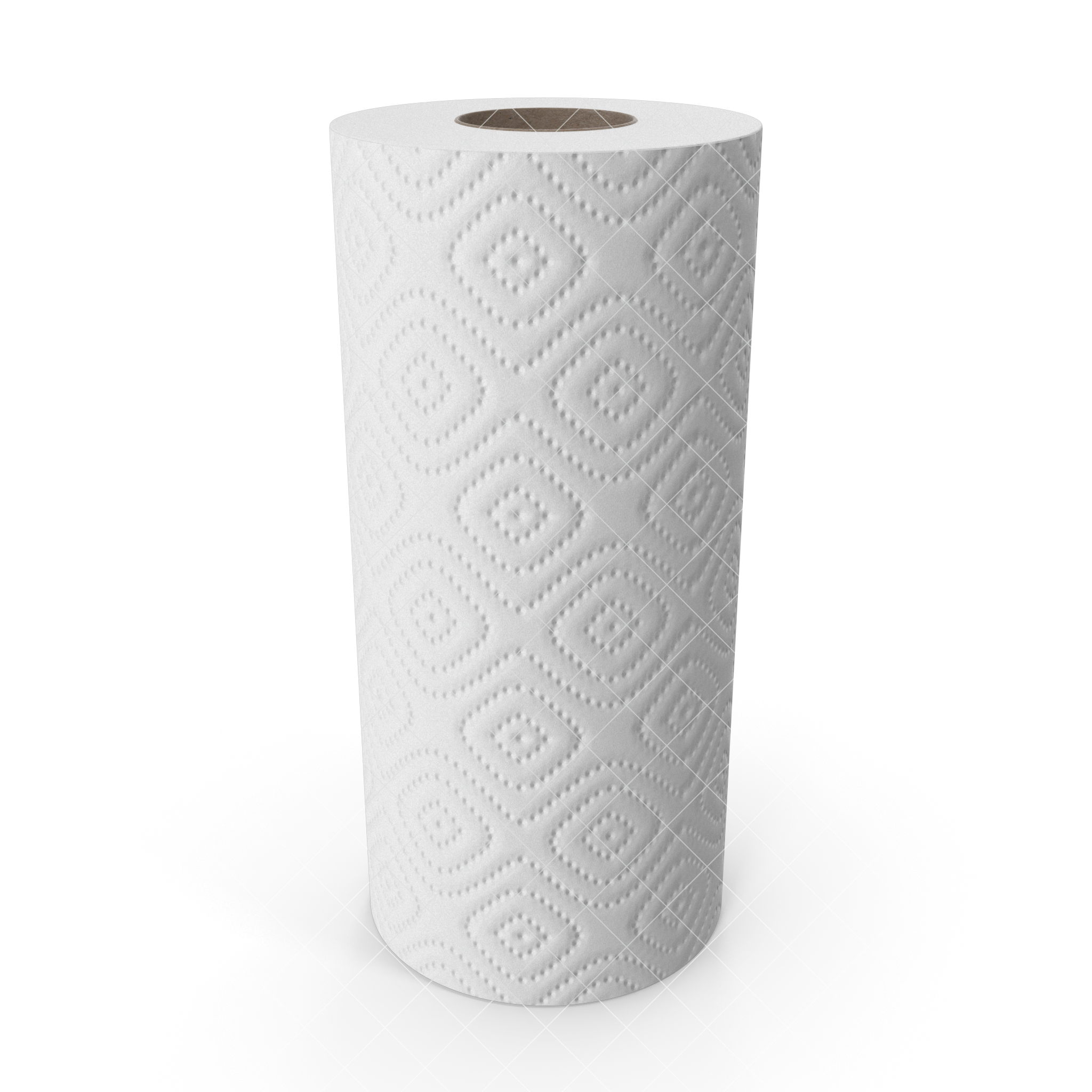 Paper Towel.G03.watermarked.2k